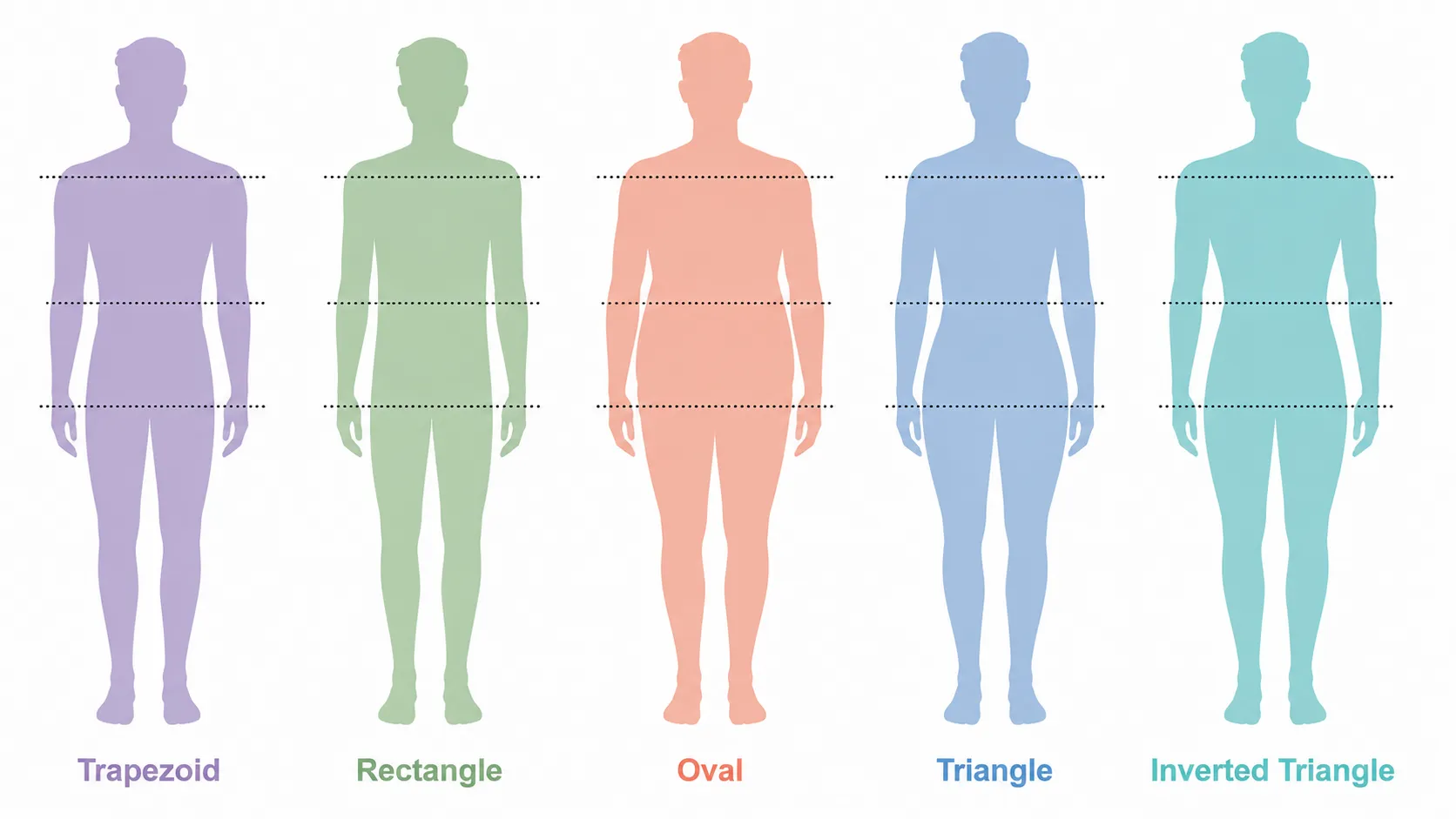 Male body types chart comparing trapezoid, rectangle, oval, triangle and inverted triangle silhouettes