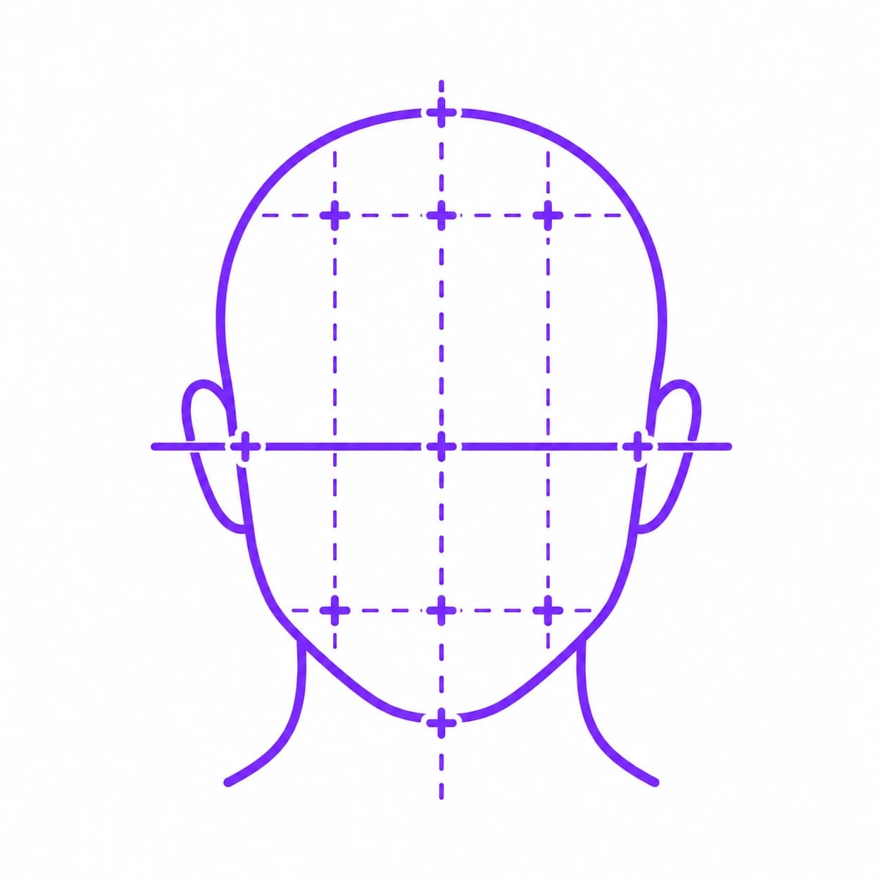 Illustration of a head with crosshair landmark points along facial thirds and fifths grid lines